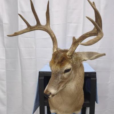 Sale Photo Thumbnail #196