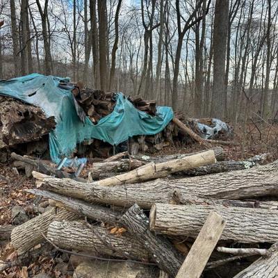 Sale Photo Thumbnail #15