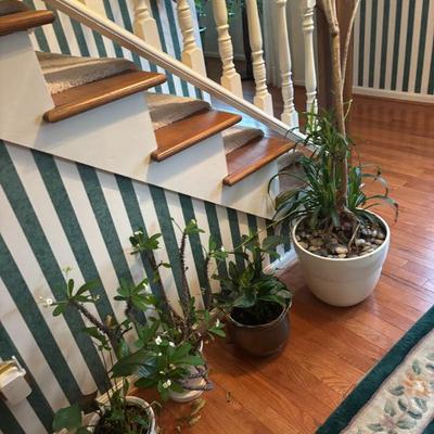 Sale Photo Thumbnail #16