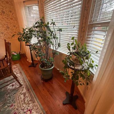 Sale Photo Thumbnail #19