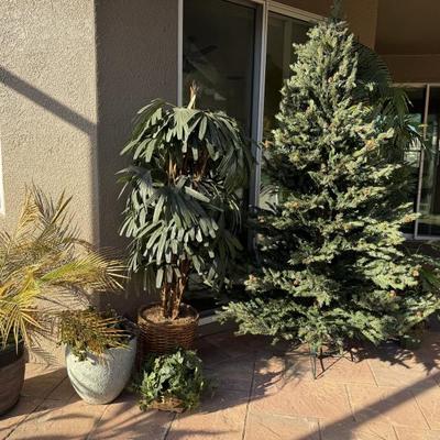 Sale Photo Thumbnail #6