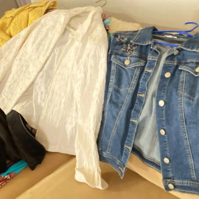 Women’s Clothing Lot – Coldwater Creek, Chico’s, Christopher & Banks, Size L (some XL)