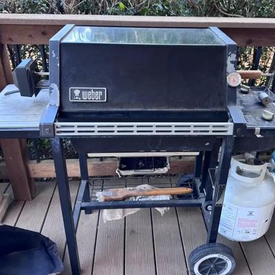 Weber Propane Gas Grill