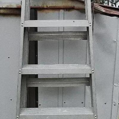 8 Foot Aluminum Ladder 