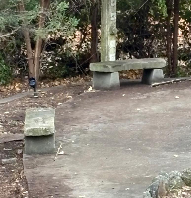 Sale Photo Thumbnail #24