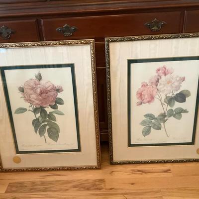 Bombay Company Botanical Art