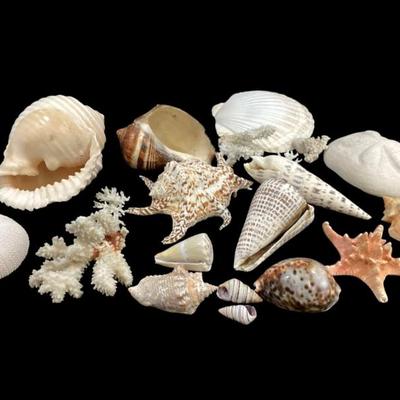 Sale Photo Thumbnail #219