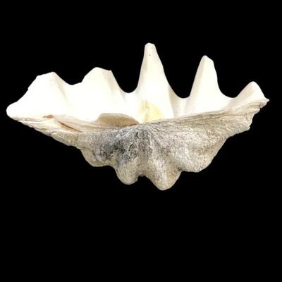 Sale Photo Thumbnail #36