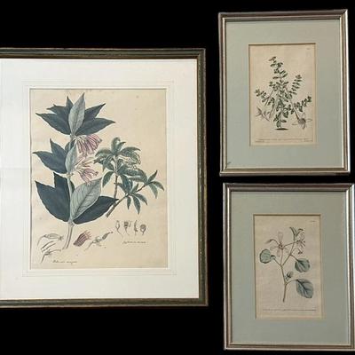 Sale Photo Thumbnail #278