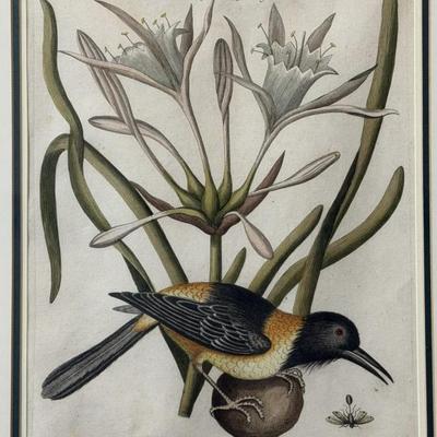 Sale Photo Thumbnail #143