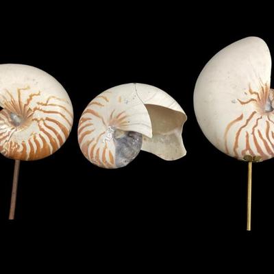 Sale Photo Thumbnail #395