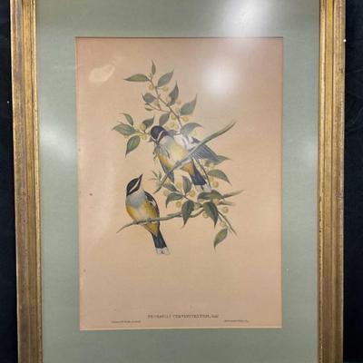 Sale Photo Thumbnail #145