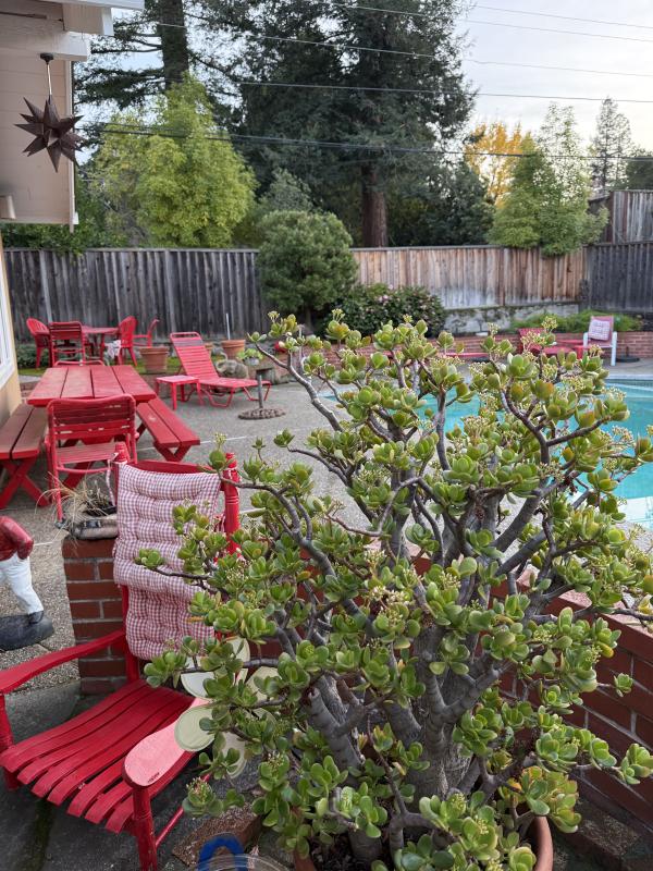 Sale Photo Thumbnail #4