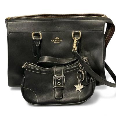 Coach Satchel & Pouchette 