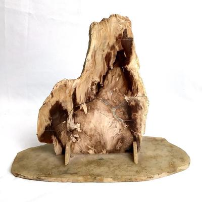 Petrified Wood Display Specimen on Stone Base 