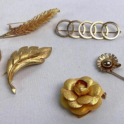B.S.K. Pin and Other Jewelry 