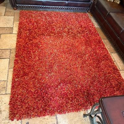 Shaggy 5x7 area rug linie designs