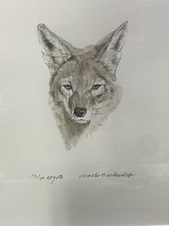 Sale Photo Thumbnail #266