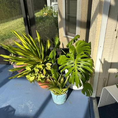 Sale Photo Thumbnail #18