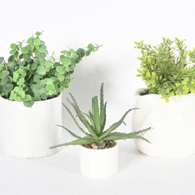 Sale Photo Thumbnail #112