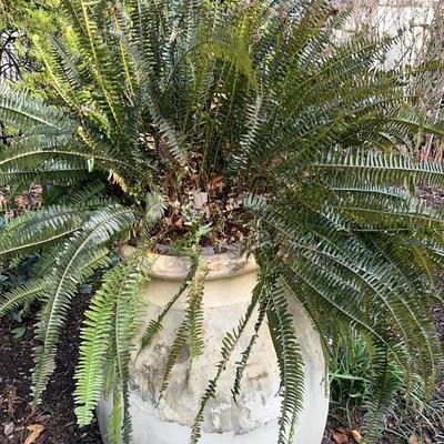 Large French Planter