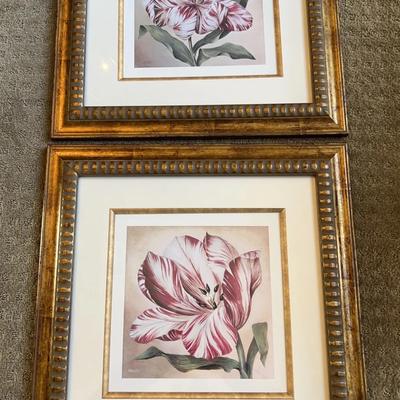 Pair Of Tulip Prints