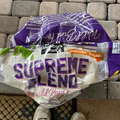 Bird Feed