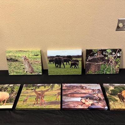 Collection Of Animal Prints (Stretched On Canvas, 12”x16”)
