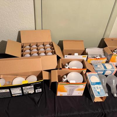 Large Collection Of Lightbulbs 