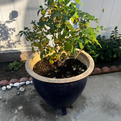 Sale Photo Thumbnail #331