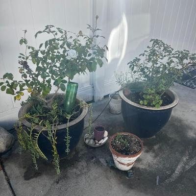 Sale Photo Thumbnail #298