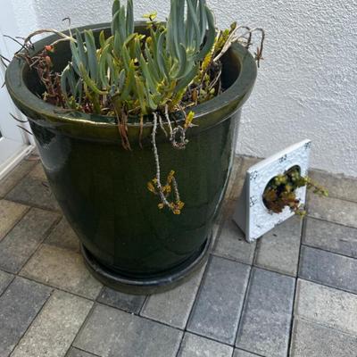 Sale Photo Thumbnail #330