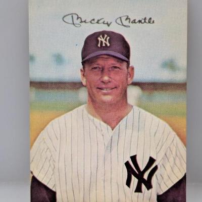 Sale Photo Thumbnail #337