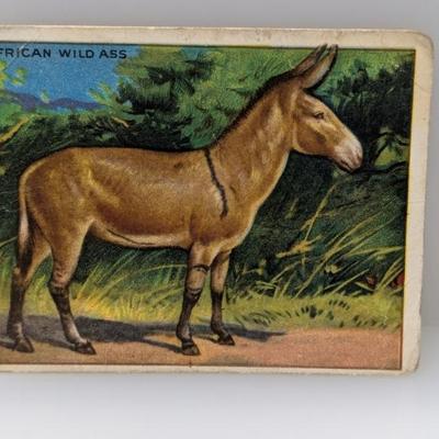 Sale Photo Thumbnail #498