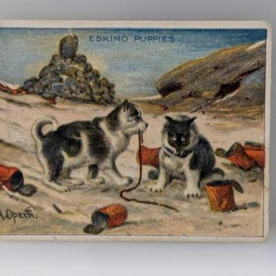 Sale Photo Thumbnail #504