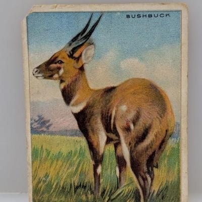 Sale Photo Thumbnail #501