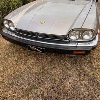 Sale Photo Thumbnail #2