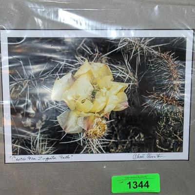 Sale Photo Thumbnail #360