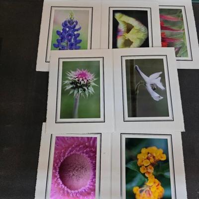 Sale Photo Thumbnail #344