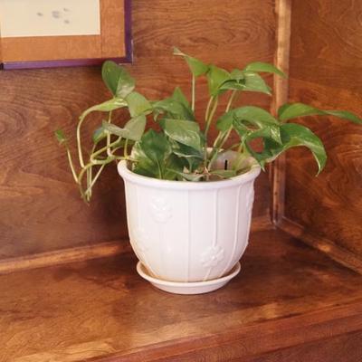 Sale Photo Thumbnail #49