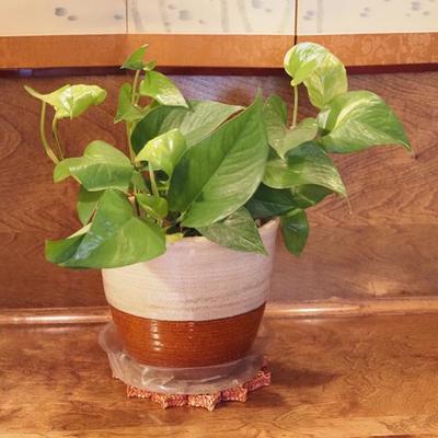 Sale Photo Thumbnail #48