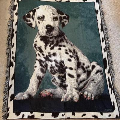 Sale Photo Thumbnail #378