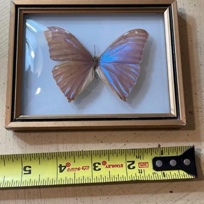 Sale Photo Thumbnail #445