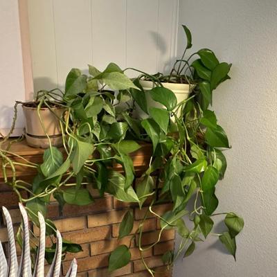 Sale Photo Thumbnail #11