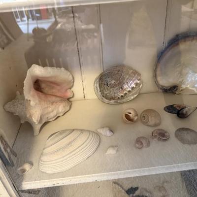 Sale Photo Thumbnail #361