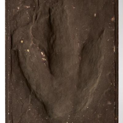 Sale Photo Thumbnail #319