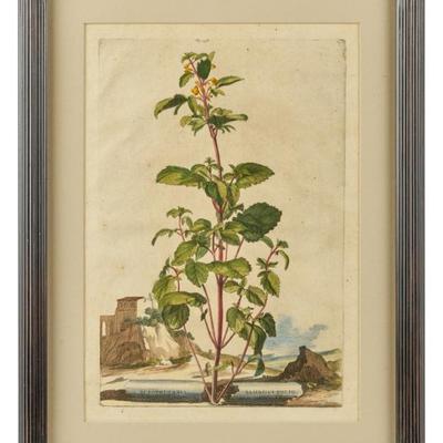 Sale Photo Thumbnail #141