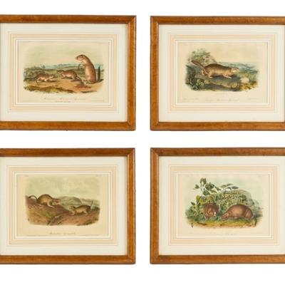 Sale Photo Thumbnail #45