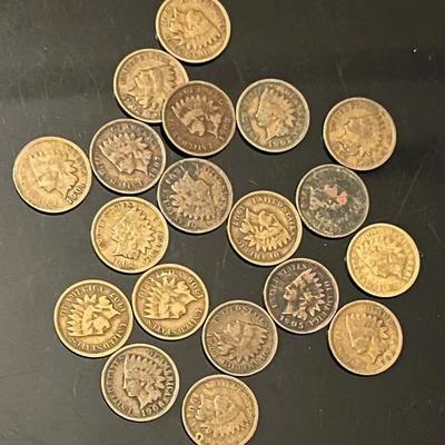 Indian Head Pennies (19)