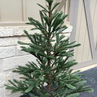 Ready For Christmas - Tree For Your Home